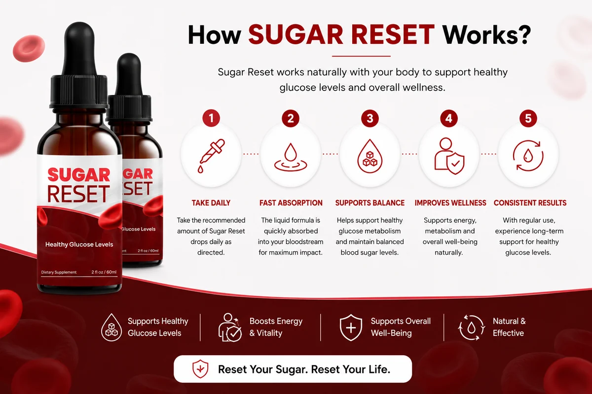 How SugarReset works: from dropper to glucose support